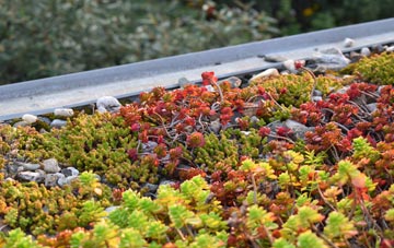 the cost of Portree green roof installation