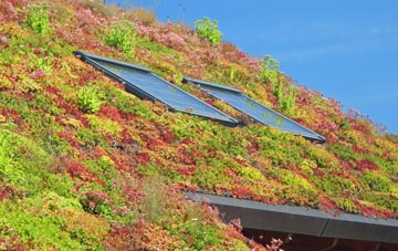Portree living roof systems