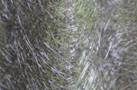 Portree fibreglass roof work